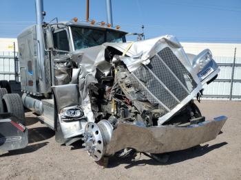  Salvage Peterbilt 389