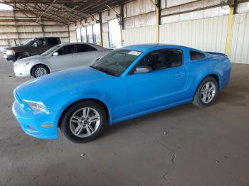  Salvage Ford Mustang