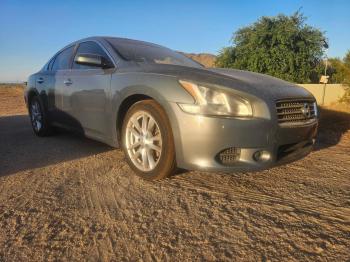  Salvage Nissan Maxima