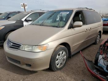  Salvage Honda Odyssey