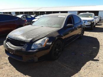  Salvage Nissan Maxima