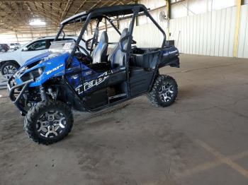  Salvage Kawasaki Krt800 C