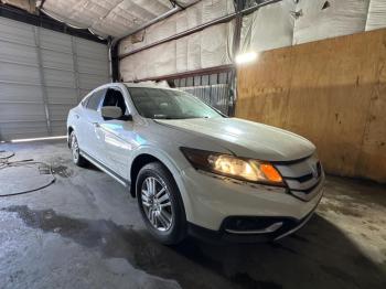  Salvage Honda Crosstour