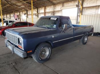  Salvage Dodge D Series