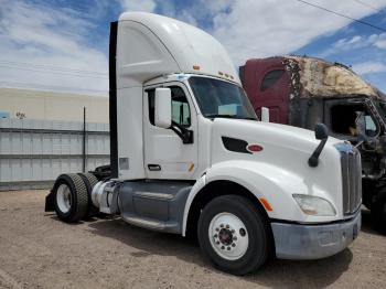  Salvage Peterbilt 579
