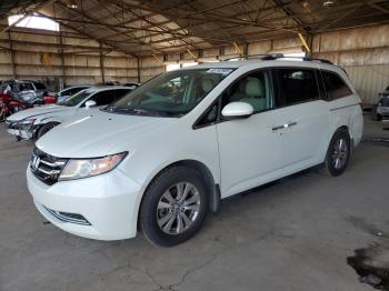  Salvage Honda Odyssey