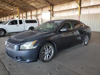  Salvage Nissan Maxima