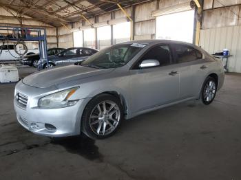  Salvage Nissan Maxima