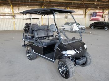  Salvage Evolution Golf Cart