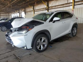  Salvage Lexus NX