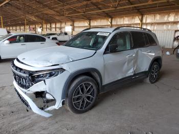  Salvage Merz Eqb 250+