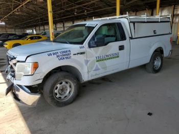  Salvage Ford F-150