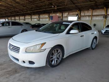  Salvage Nissan Maxima