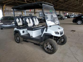  Salvage Electric Vehicle Tec Golf Cart