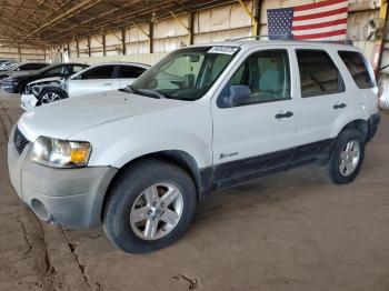  Salvage Ford Escape