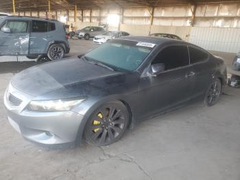  Salvage Hond Accord