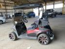 Ezgo Rxv Fleet Image 3