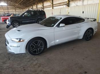  Salvage Ford Mustang