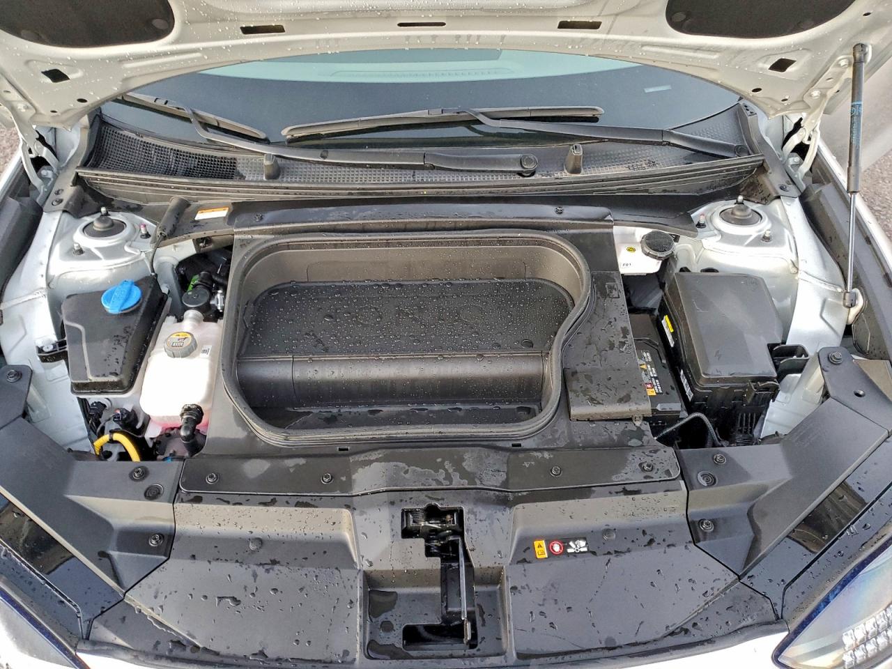 Hyundai Ioniq Limited Image 11